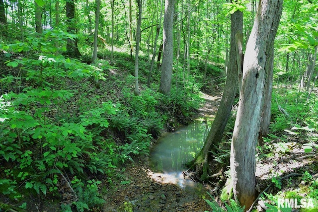 7059 Midway Rd, Metropolis, IL 62960 - view of nature
