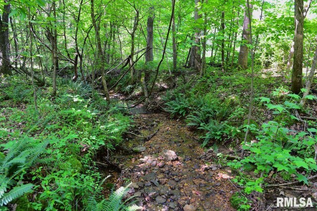 7059 Midway Rd, Metropolis, IL 62960 - view of local wilderness