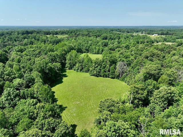7059 Midway Rd, Metropolis, IL 62960 - aerial view of a forest