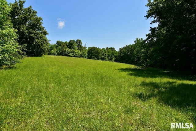7059 Midway Rd, Metropolis, IL 62960 - view of yard