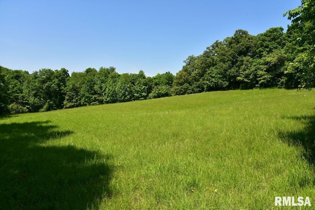 7059 Midway Rd, Metropolis, IL 62960 - view of green lawn with a wooded view