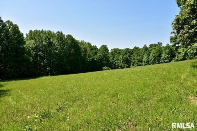 7059 Midway Rd, Metropolis, IL 62960 - view of tree filled area