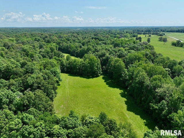 7059 Midway Rd, Metropolis, IL 62960 - bird's eye view of a heavily wooded area