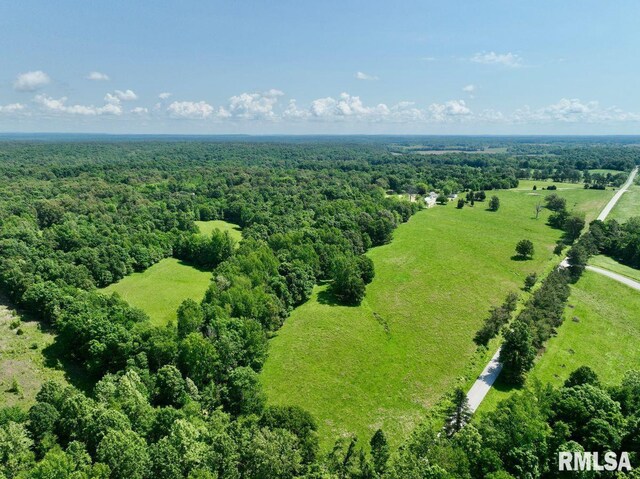 7059 Midway Rd, Metropolis, IL 62960 - aerial view of a forest