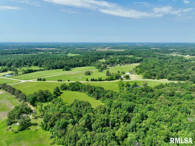 7059 Midway Rd, Metropolis, IL 62960 - aerial view of a forest and a large body of water