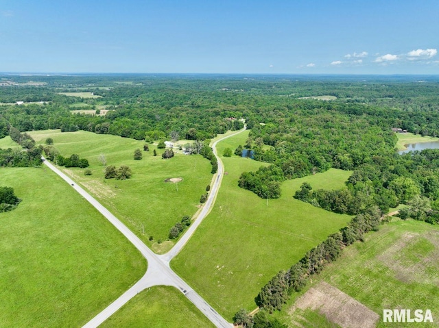 7059 Midway Rd, Metropolis, IL 62960 - aerial view of a heavily wooded area and a large body of water