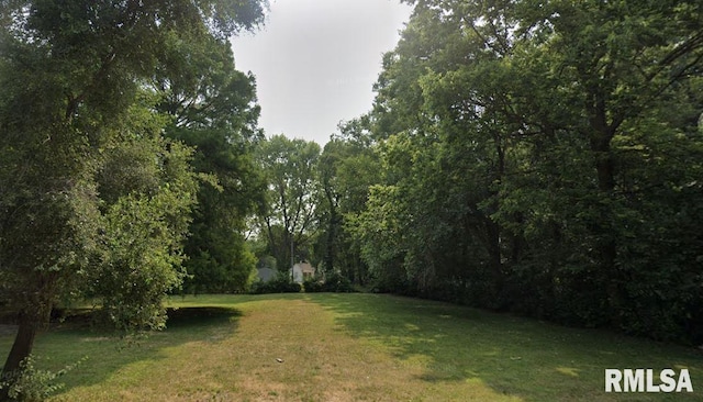 1920 S 19th St, Springfield, IL 62703 - photo 1