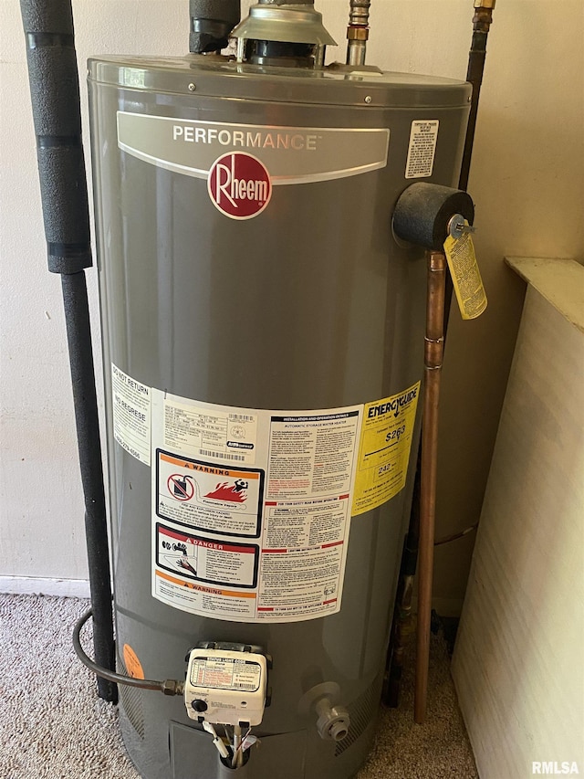 107 Locust Rd, Meredosia, IL 62665 - utilities with gas water heater