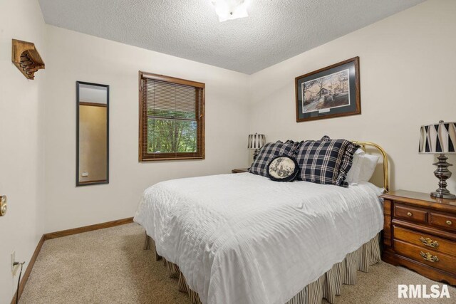 26 Perkins Ln, Golconda, IL 62938 - photo 13