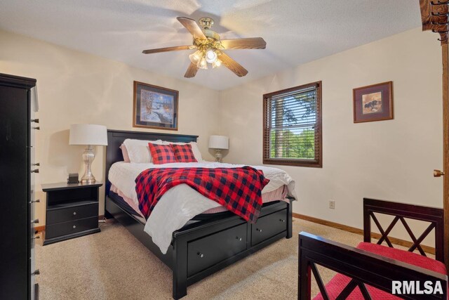 26 Perkins Ln, Golconda, IL 62938 - photo 16