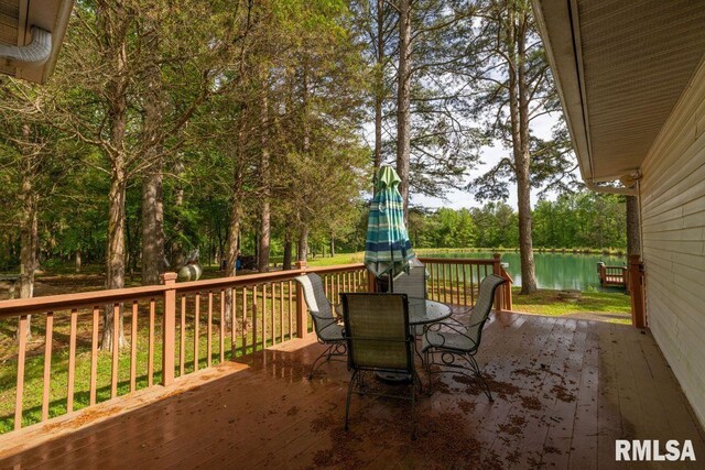 26 Perkins Ln, Golconda, IL 62938 - photo 37