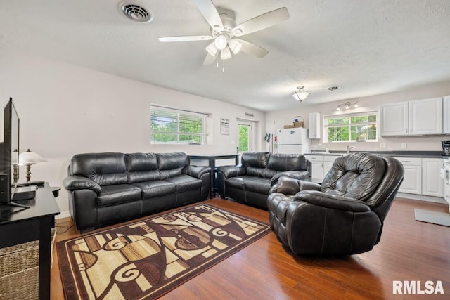 26 Perkins Ln, Golconda, IL 62938 - photo 46