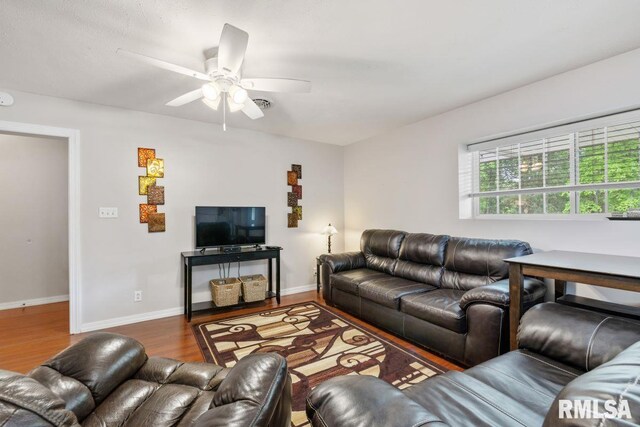 26 Perkins Ln, Golconda, IL 62938 - photo 47