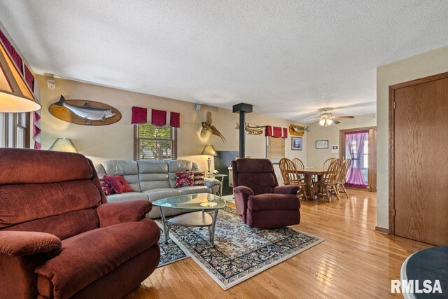 26 Perkins Ln, Golconda, IL 62938 - photo 6