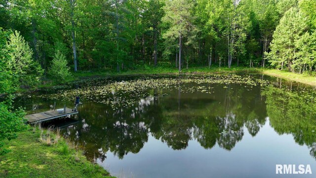 26 Perkins Ln, Golconda, IL 62938 - photo 68