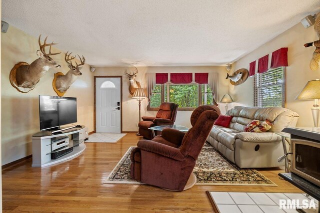 26 Perkins Ln, Golconda, IL 62938 - photo 8