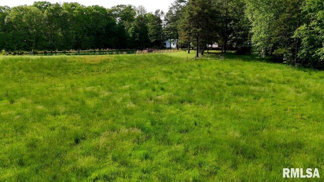 26 Perkins Ln, Golconda, IL 62938 - photo 80