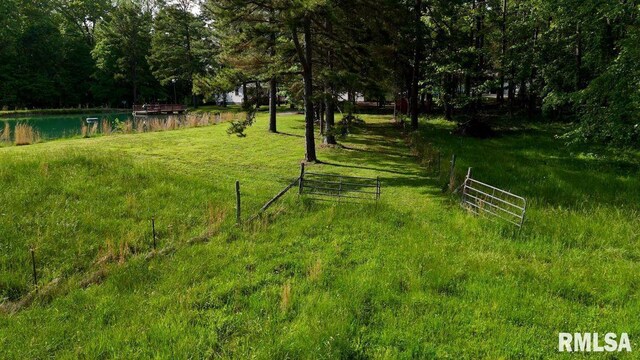 26 Perkins Ln, Golconda, IL 62938 - photo 81