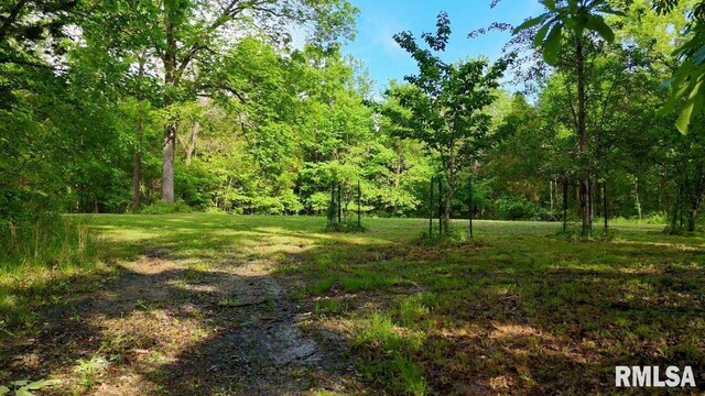 26 Perkins Ln, Golconda, IL 62938 - photo 84