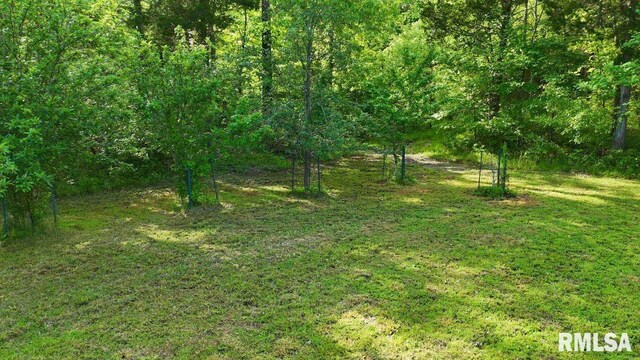 26 Perkins Ln, Golconda, IL 62938 - photo 85