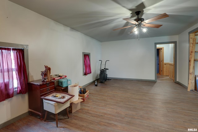 305 E Clay St, Pleasant Hill, IL 62366 - workout room featuring ceiling fan, wood finished floors, and baseboards