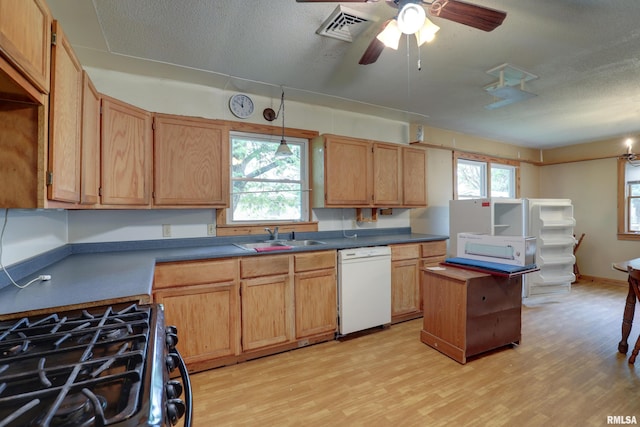 305 E Clay St, Pleasant Hill, IL 62366 - kitchen featuring dishwasher, a sink, black gas stove, light wood-style flooring, and a textured ceiling