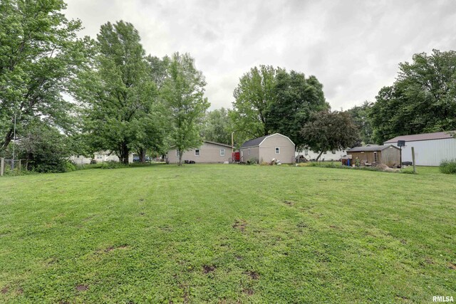 305 E Clay St, Pleasant Hill, IL 62366 - view of grassy yard with view of wooded area