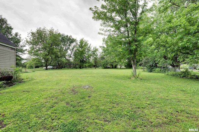 305 E Clay St, Pleasant Hill, IL 62366 - view of green lawn