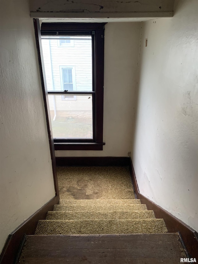 545 Bainbridge St, Barry, IL 62312 - stairs featuring carpet flooring and baseboards