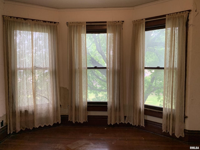 545 Bainbridge St, Barry, IL 62312 - empty room featuring wood finished floors and crown molding