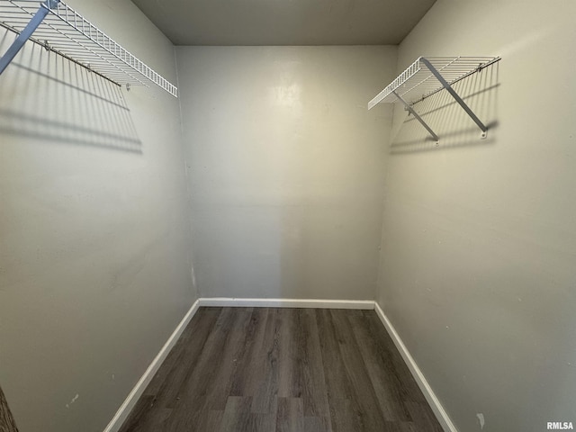 1248 N Ledlie Ave, Springfield, IL 62702 - walk in closet with wood finished floors