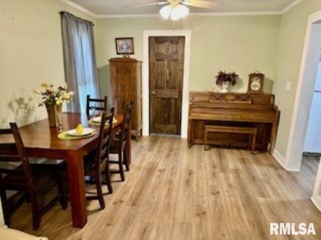 1001 E Esther St, Taylorville, IL 62568 - photo 4