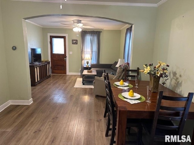 1001 E Esther St, Taylorville, IL 62568 - photo 5