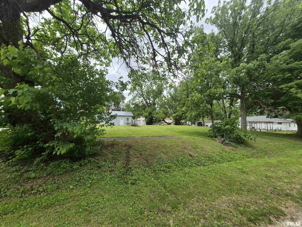 304 W Mechanic St, Ashland, IL 62612 - photo 2