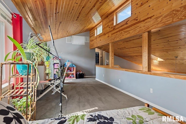 4101 N 8th St, Springfield, IL 62707 - exercise area featuring lofted ceiling, carpet floors, wood ceiling, and baseboards
