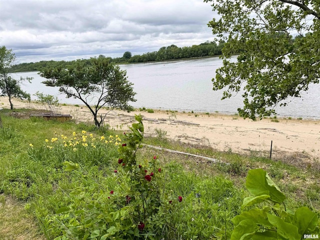 18382 N Quiver Beach Rd, Havana, IL 62644 - water view