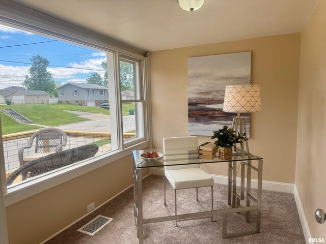 1106 S 19th St, Quincy, IL 62301 - home office with carpet, baseboards, and a residential view