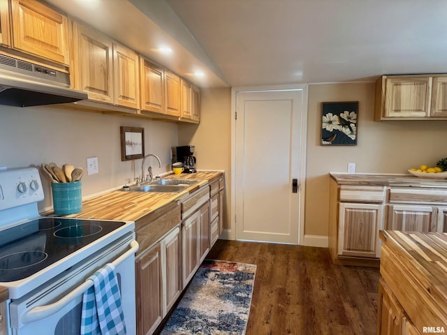 1106 S 19th St, Quincy, IL 62301 - kitchen featuring white electric range oven, a sink, dark wood-type flooring, under cabinet range hood, and light brown cabinetry