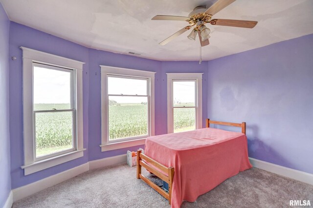 312 N Hedge St, Taylorville, IL 62568 - photo 32