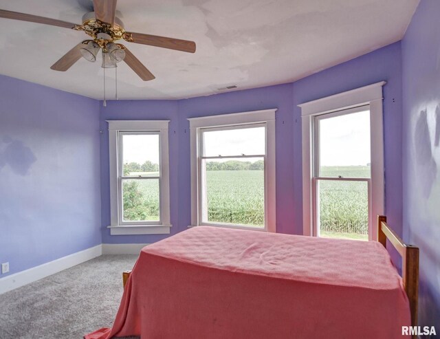 312 N Hedge St, Taylorville, IL 62568 - photo 33
