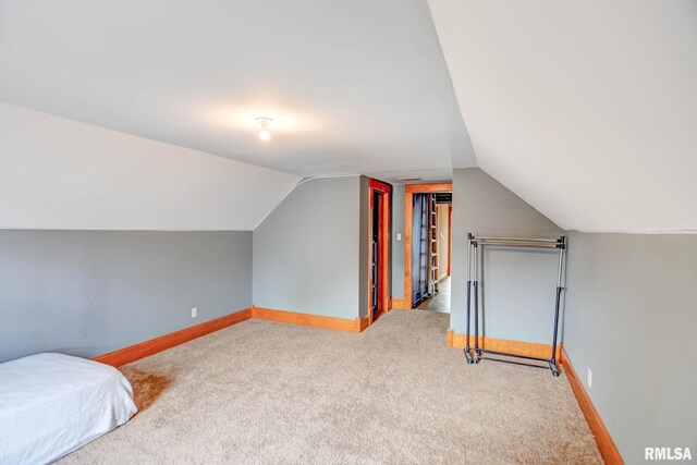 312 N Hedge St, Taylorville, IL 62568 - photo 36