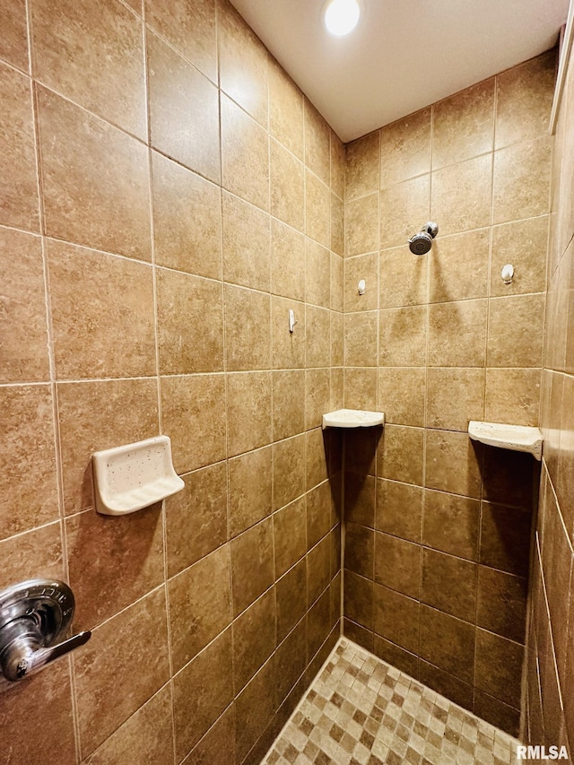 1595 N Kellogg St, Galesburg, IL 61401 - full bath with tiled shower