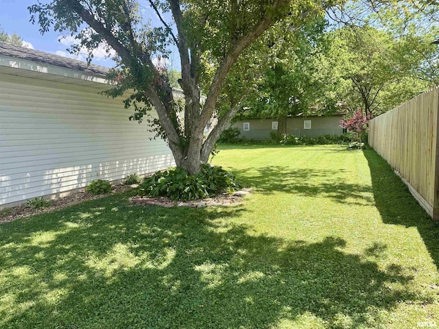 1595 N Kellogg St, Galesburg, IL 61401 - view of yard