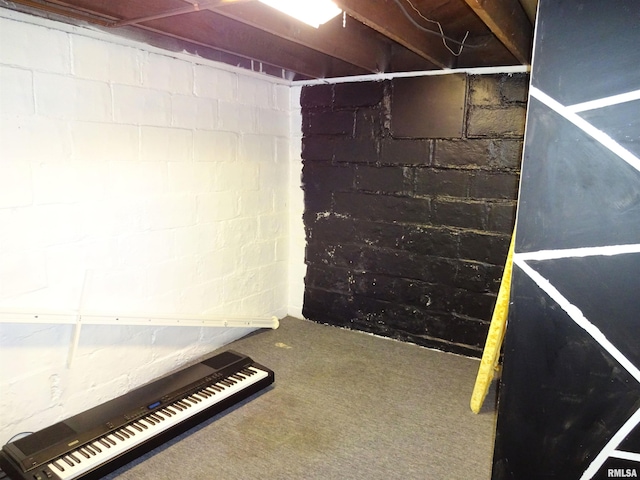 2536 S 10th St, Springfield, IL 62703 - unfinished basement with carpet floors