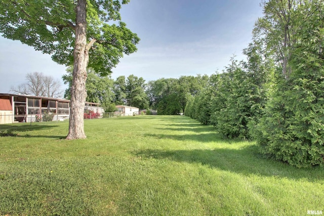 1321 Locust St, Quincy, IL 62301 - view of green lawn