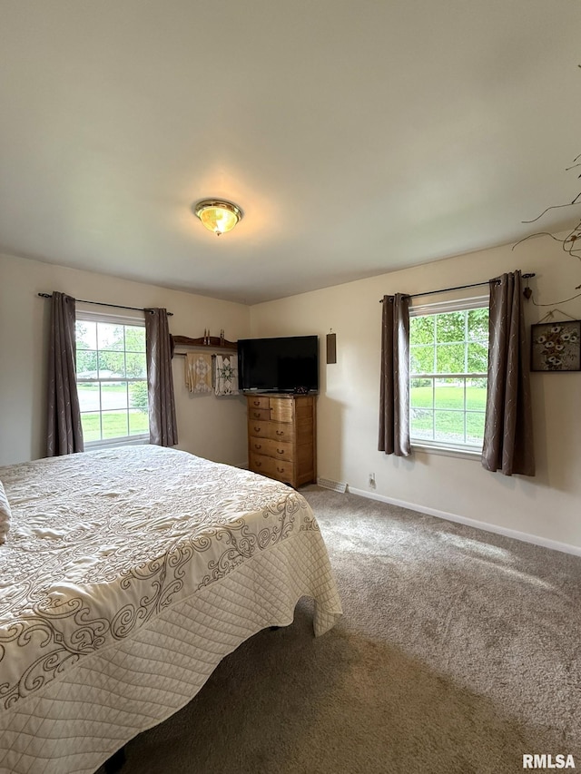 709 W Monmouth St, Abingdon, IL 61410 - bedroom featuring multiple windows, baseboards, and light carpet