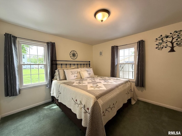 709 W Monmouth St, Abingdon, IL 61410 - bedroom with multiple windows, baseboards, and dark carpet