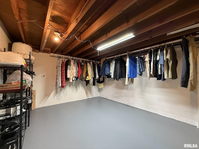 709 W Monmouth St, Abingdon, IL 61410 - view of spacious closet