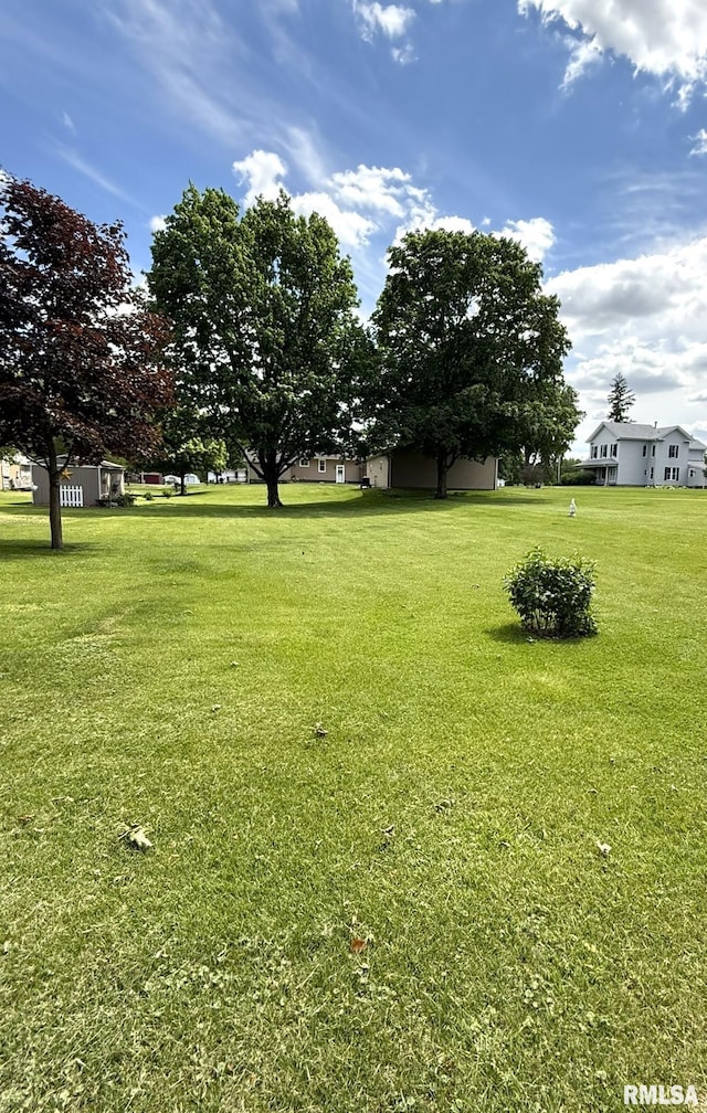 709 W Monmouth St, Abingdon, IL 61410 - view of green lawn
