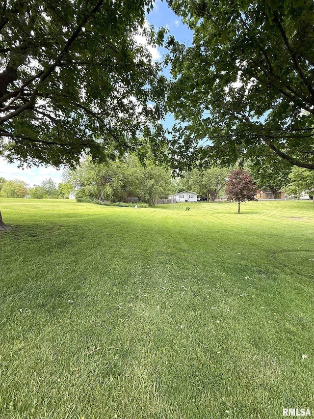 709 W Monmouth St, Abingdon, IL 61410 - view of green lawn